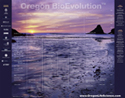 Oregon BioEvolution 2008 poster